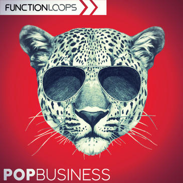 Function Loops – Pop Business (MIDI, SYNTH PRESET, WAV)